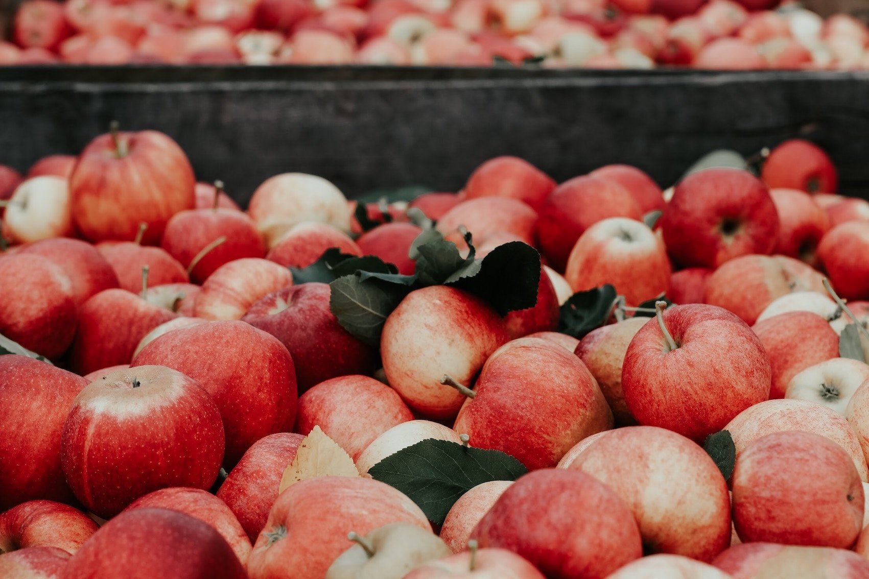 Can Apple Cider Vinegar Make Your Hair Fall Out Hair Loss