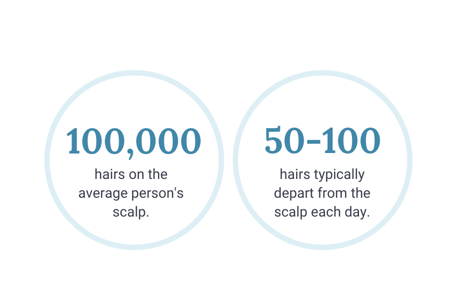 Daily hair loss graphic