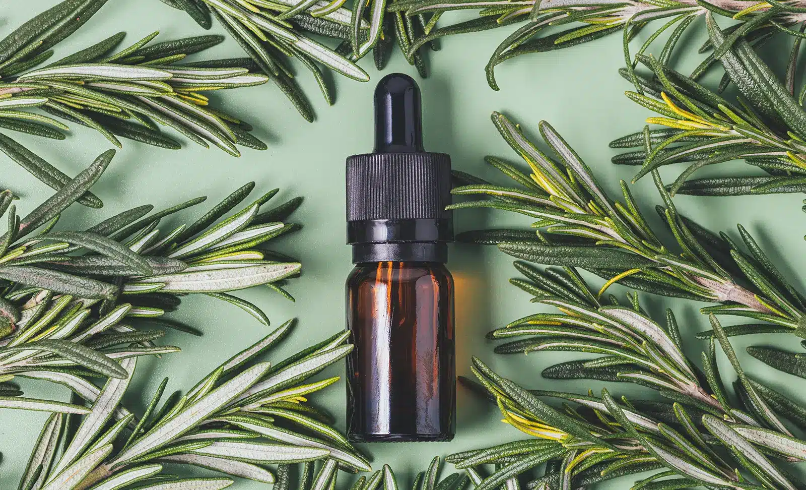 Rosemary oil for hair loss