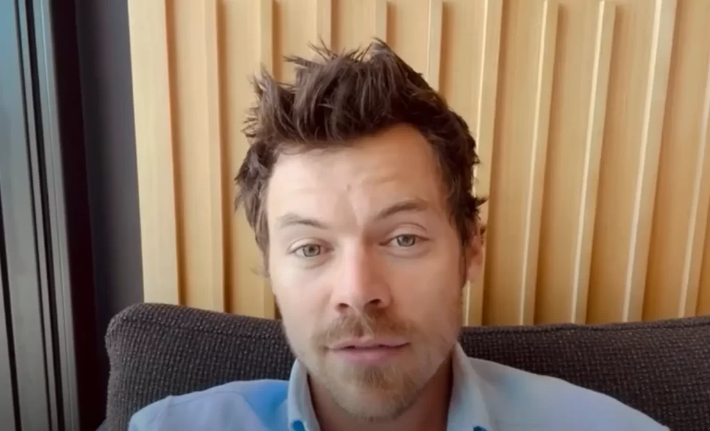 Harry Styles hair 2024