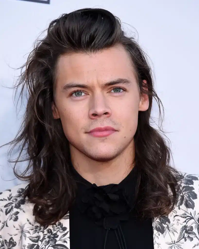 Harry Styles hair 2015