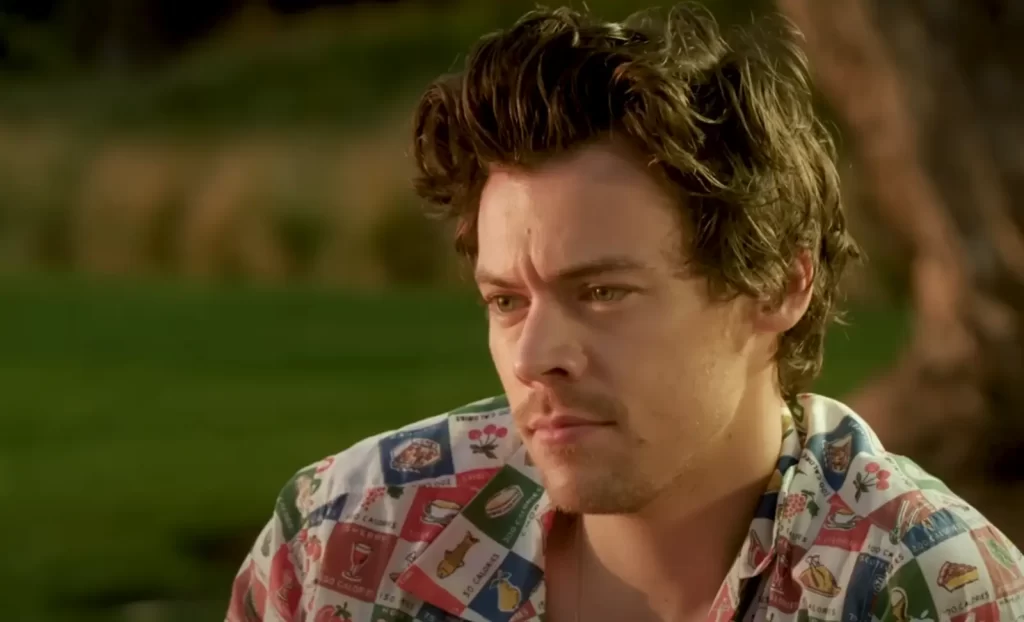 Harry Styles hair 2019
