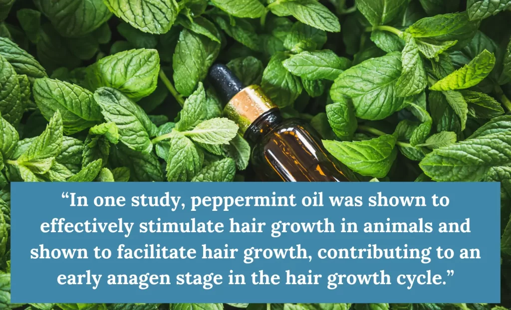 Peppermint oil for hair growth 