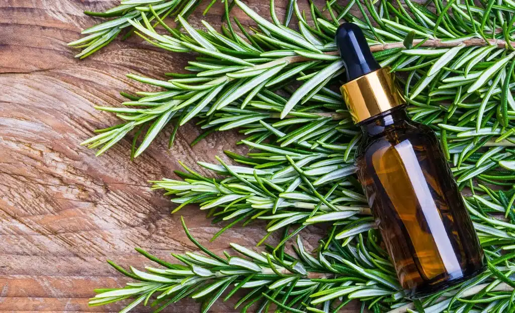 Rosemary oil for hair growth