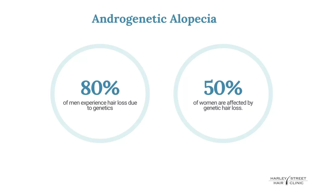 Androgenetic Alopecia 