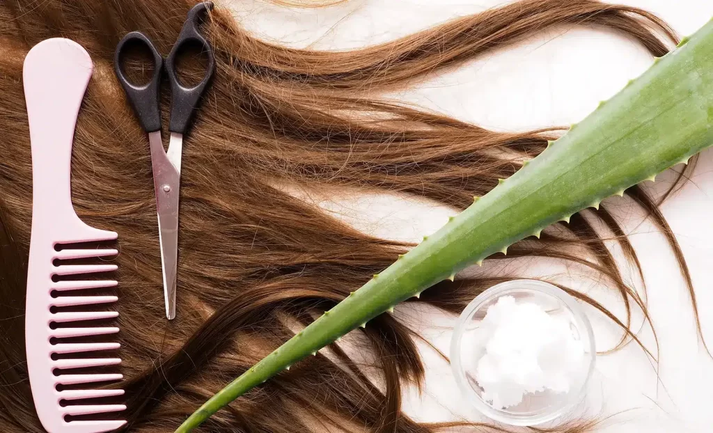 Aloe Vera for hair