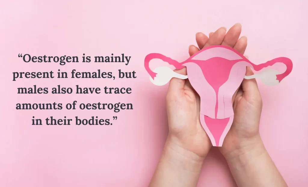 Oestrogen hair loss men 