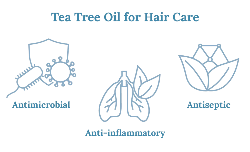 Benefits of tea tree oil 
